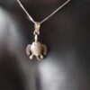 Colgante Tortuga